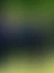 Mirada global: aranceles de Trump: opciones e implicaciones