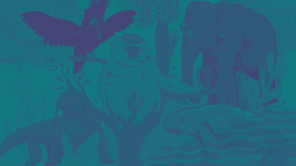 Background b (1).png