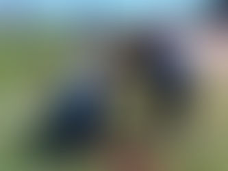 Sigue la campaña de forestación en Colonia Dora