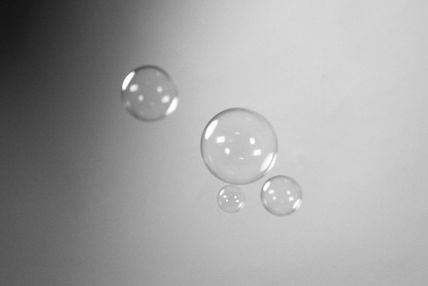 fss selection 21.jpg