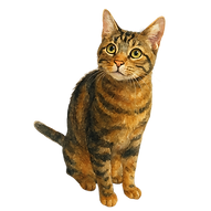 Meeken.png