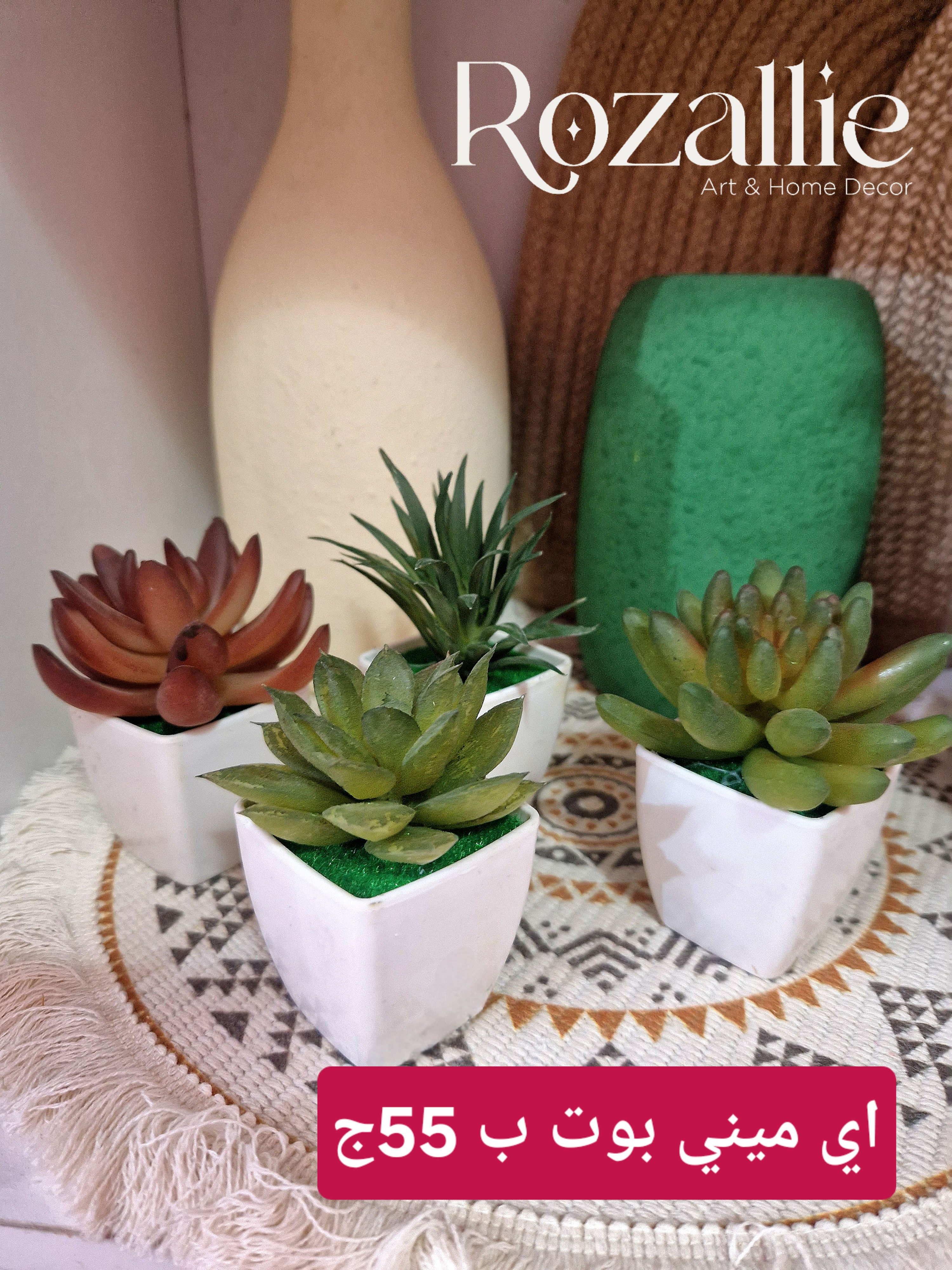 1 Random Plant Mini Pot