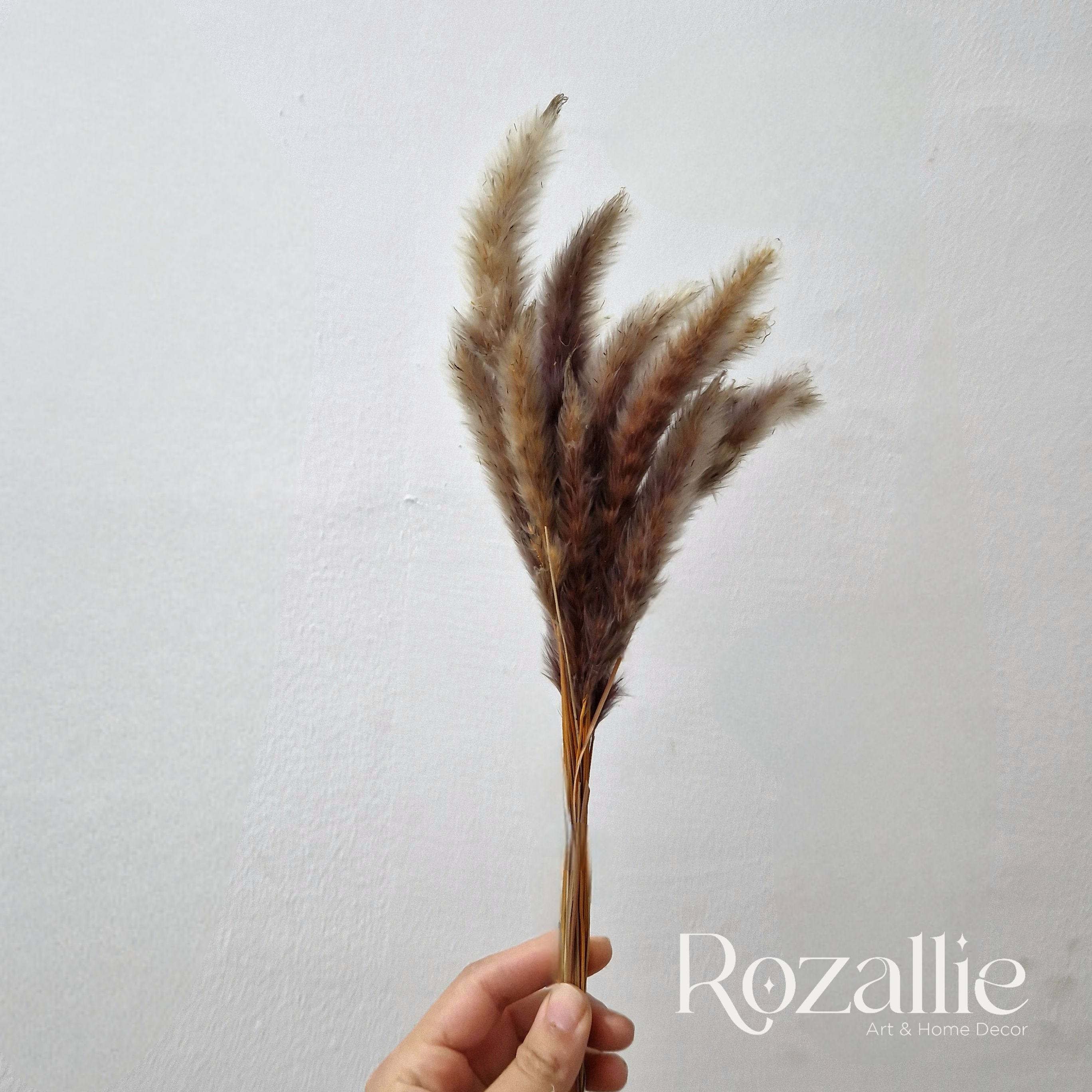 10pcs Brown Fluffy Dried Reeds