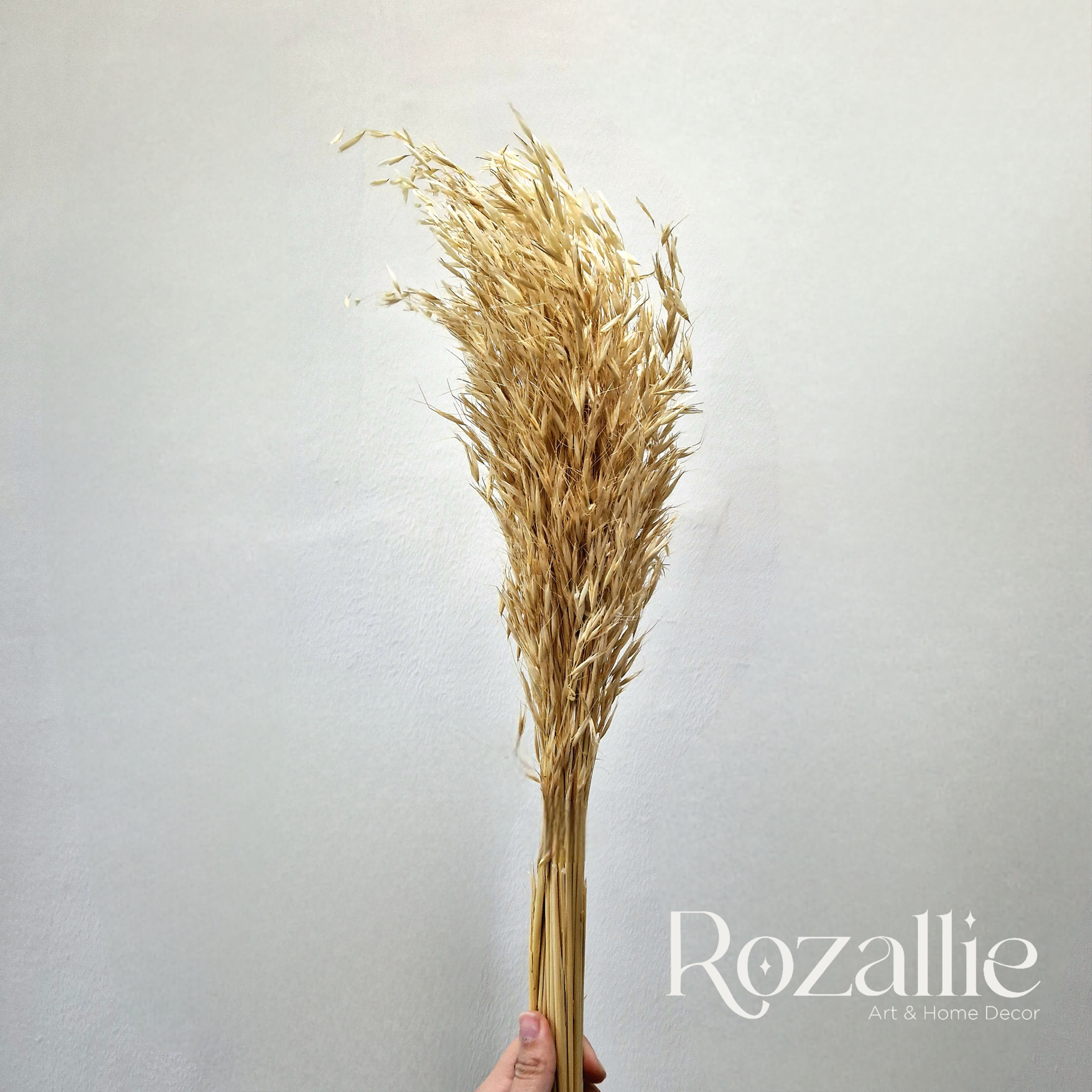 15 Natural Dried Oat Wild Branches