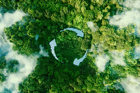 AdobeStock_457332892.png