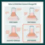 graphic that illustrates different nipple and areola fits inside breast pump flange