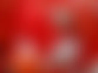 "Habemus papam": Robert Prevost se convirtió este jueves en el primer papa estadounidense⛪️🕊️