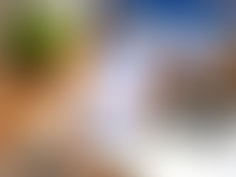 TELEGRAM: Sigue estos pasos y podrás desactivar los mensajes de quienes se han unido a la app📱😌