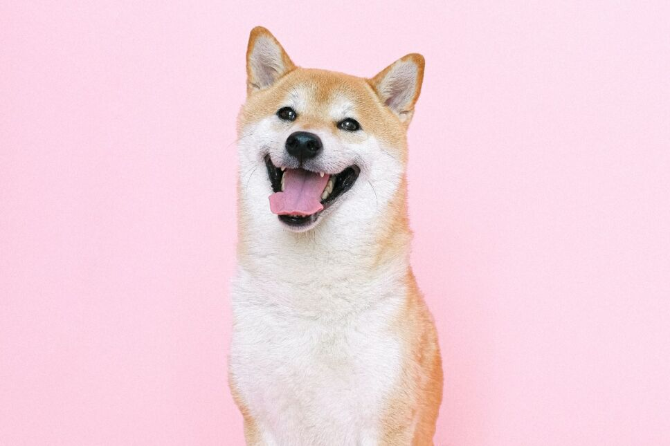 ree