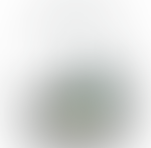naumachy | 787167