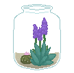 The Succulent Queen | 788138