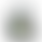 .sharky | 785922