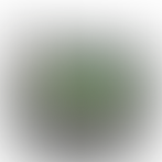 distants | 484103