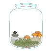 quacklyanderson | 708715