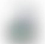 stingray | 506616