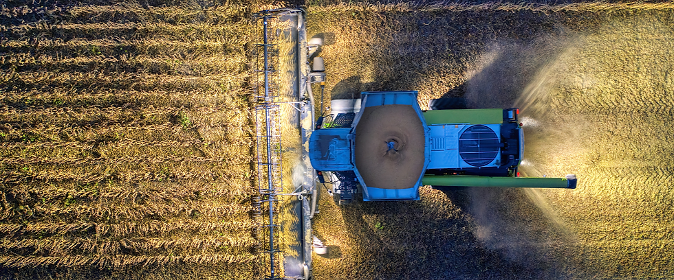 Overhead aerial view of a large combine harvester working through a golden field in Sunderland