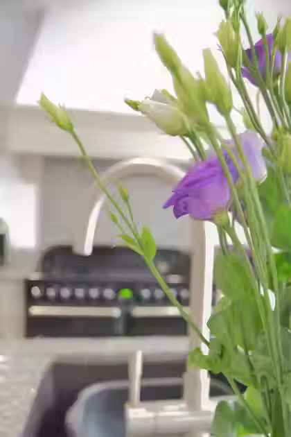Modern kitchen interior view