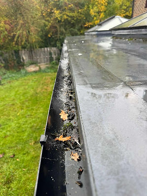 Rain-soaked gutter filled with leaves and moss beside wet roof