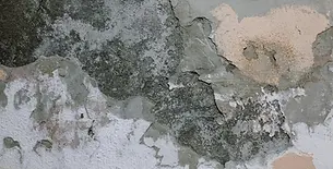 Close up of damp affected wall showing peeling paint flaking plaster and moisture damage