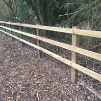 Wooden post and wire fence along a wooded area with dry leaves on the ground