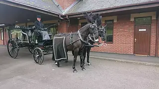 horse drawn carriages
