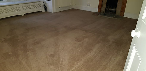 An empty room with a beige carpet showing vacuum lines