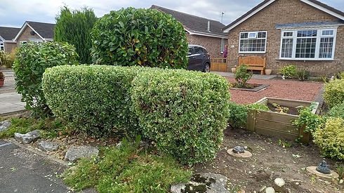 Front garden space undergoing landscaping with trimmed hedges, paving, and flower beds