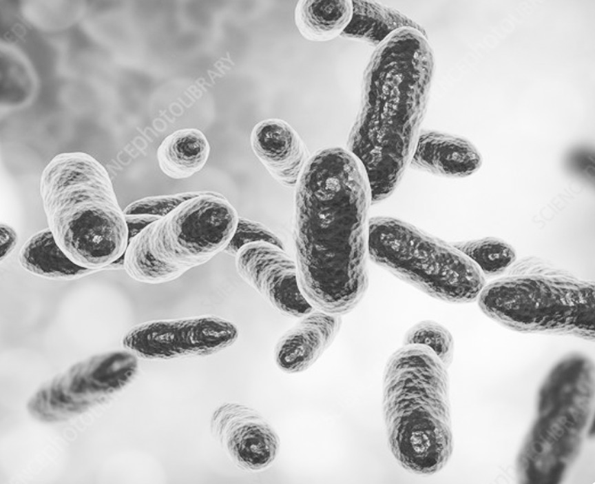 tf | Direct Diagnostics