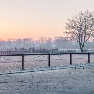 Pension pour chevaux près de Nantes, Savenay, Saint-Herblain.
Pension formule Box / Paddock: 400€ / mois
Cheval sorti au paddock la journée, 6jrs/7, sauf le dimanche (sorti par vos soins).
Cheval nourri 4 fois / jour: 2 repas d'enrubanné issu de l'agriculture biologique et 2 repas de céréales + CMV.
Pension retraite, convalescence, soins.
Accès à toutes les installations : sellerie, douche, aire de pansage, manège, carrière, rond, spring garden.
Surveillance quotidienne.