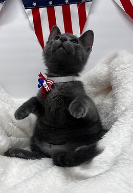 Cobain M 12 weeks.jpg