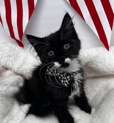 Babyface 12 weeks.jpg