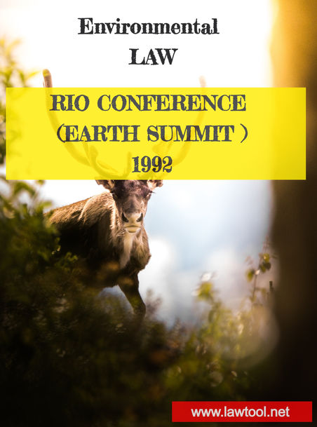 RIO CONFERENCE ( EARTH SUMMIT ) 1992
