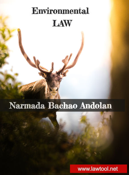 Narmada Bachao Andolan