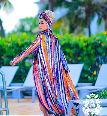 Anin Multicolor Sequin Stripe Robe.JPG