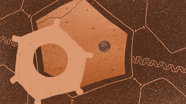 Care Nino Care Yourself.jpg