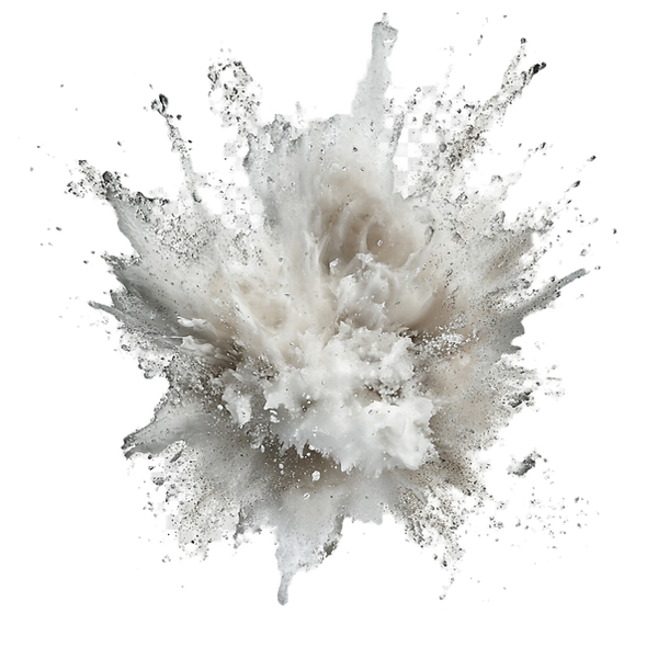 fa1aa3b4-f6b5-430b-8e49-2c2873518477 2_e