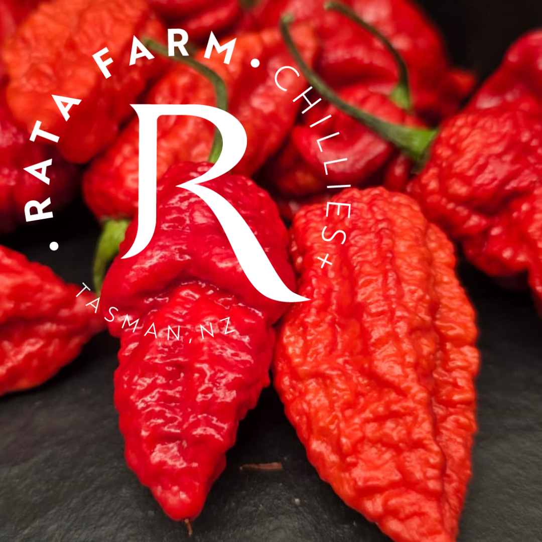 Apocalypse Scorpion Red Seeds