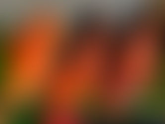 アシックス　ライトレーサー4 限定カラー入荷しました^ ^