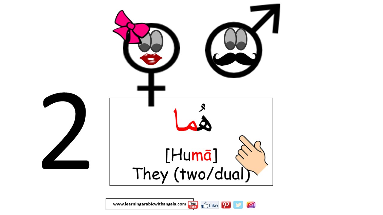 Pronouns in Arabic