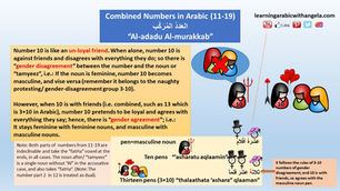 Numbers in Arabic Grammar (Combined Numbers 11-19) 