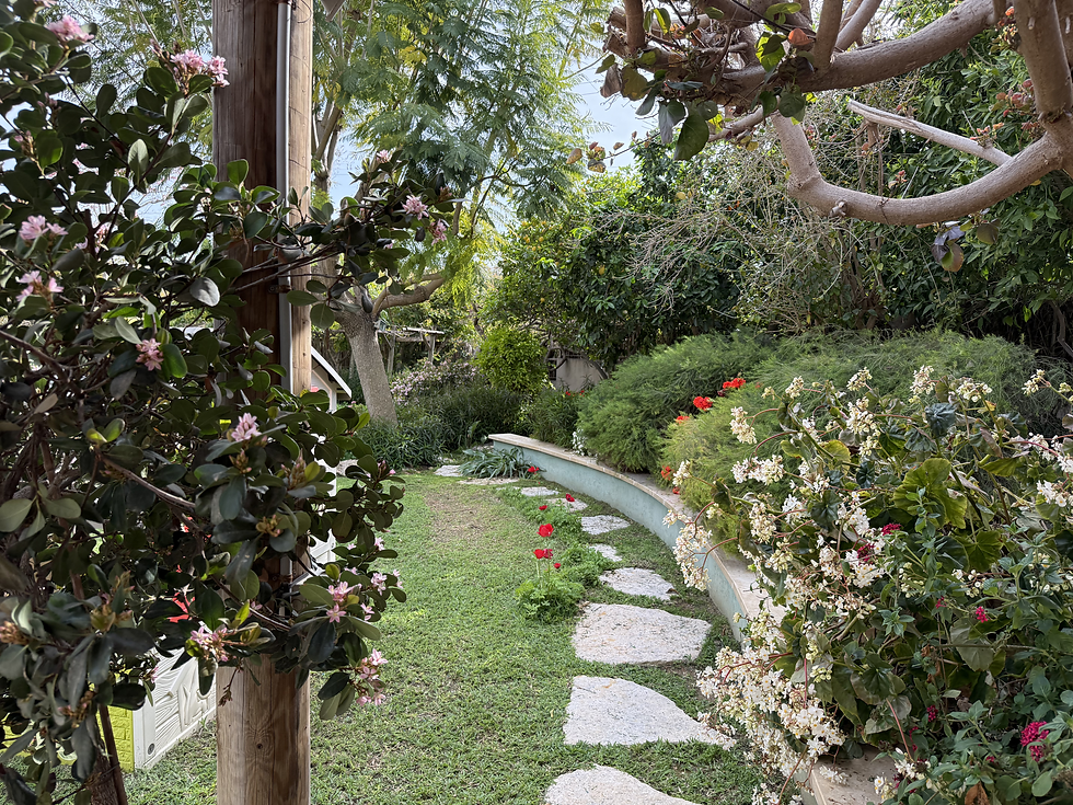 תחזוקת גינה בכפר נטר: 2.5 דונם של טבע מטופח בשיטת השקיה מתקדמת