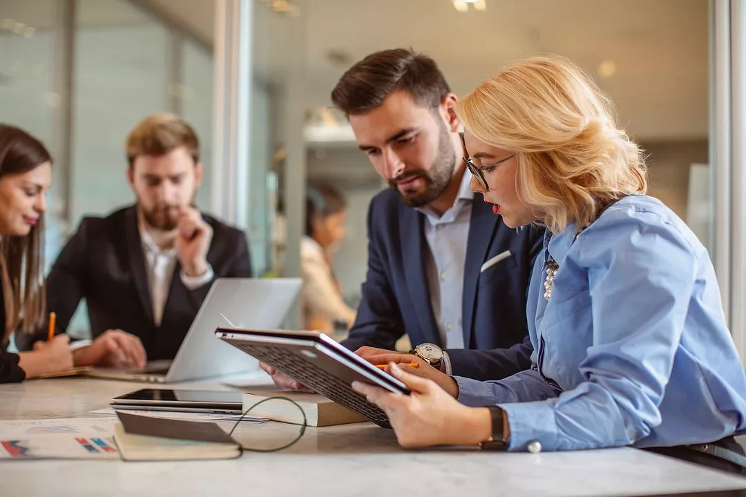 Çitin Ötesinden Bakış: Tedarikte Denge Arayışı
