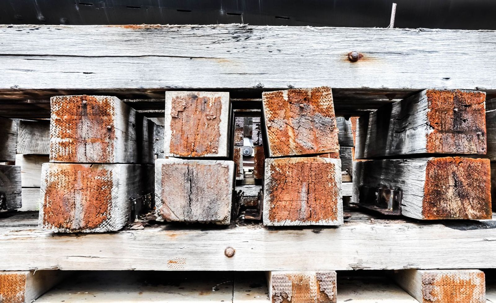 ABD CBP’nin ahşap ambalaj malzemelerinde (WPM) zararlı tespiti nedeniyle uyguladığı yüksek para cezaları ve yeniden ihraç riskleri, proje kargo ithalatçılarının maliyetlerini ciddi biçimde artırmakta; inceleme uygulamaları 2025’te daha sıkı hâle geldi.