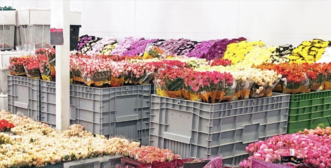 Çiçek Sevkiyatındaki Zorlu Maraton: Lojistik Ağlar Sınırlarını Zorluyor