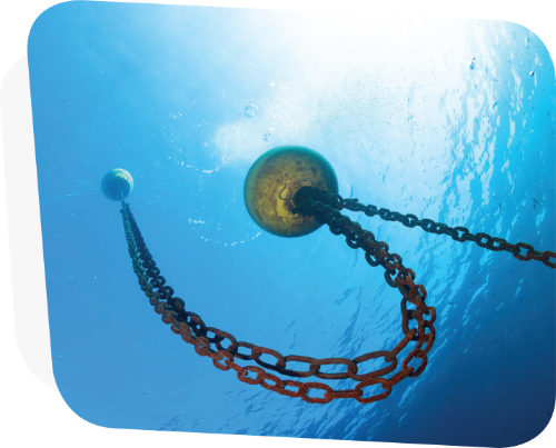 Deniz Ürünleri Tedarik Zincirinde İzlenebilirlik ve Veri Yönetimi İş Birliği