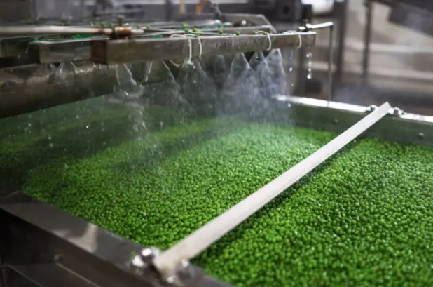 Rusya Baklagil Ürünleri İçin İhracat Vergisi Getirdi