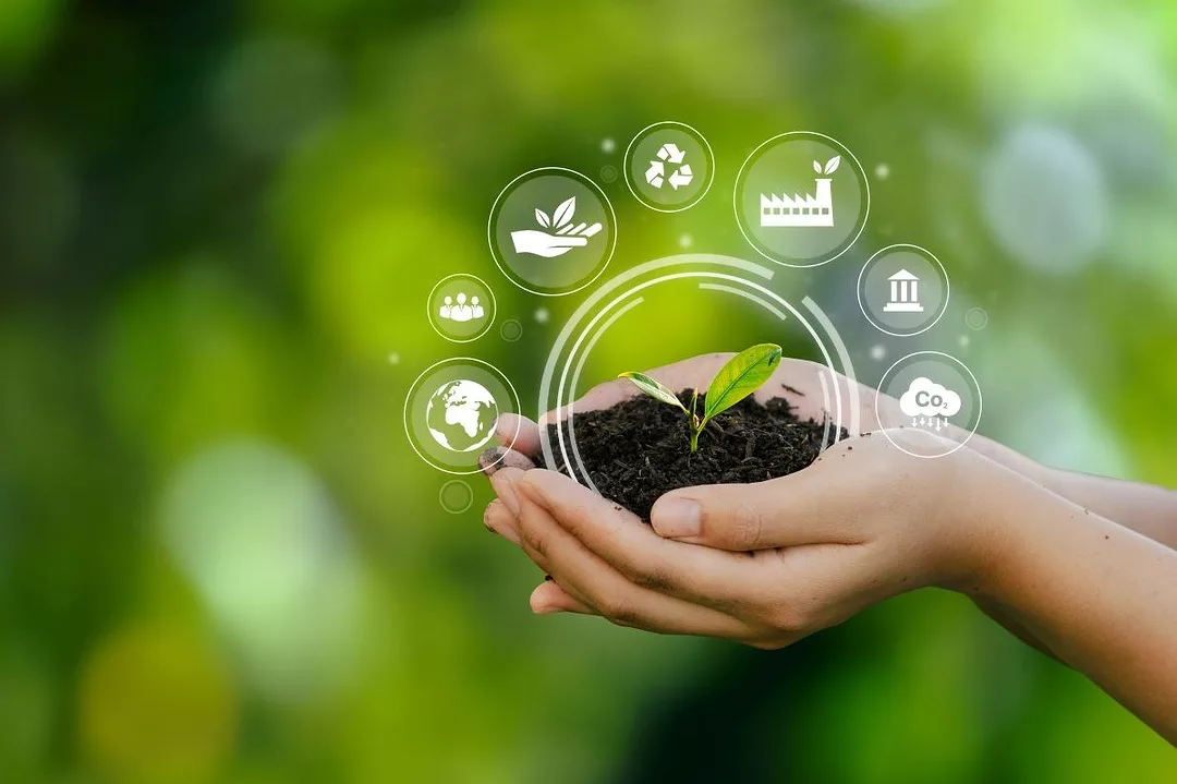 Sürdürülebilirlik Ve Maliyet Arasında Seçim Yapmak Zorunda Değilsiniz