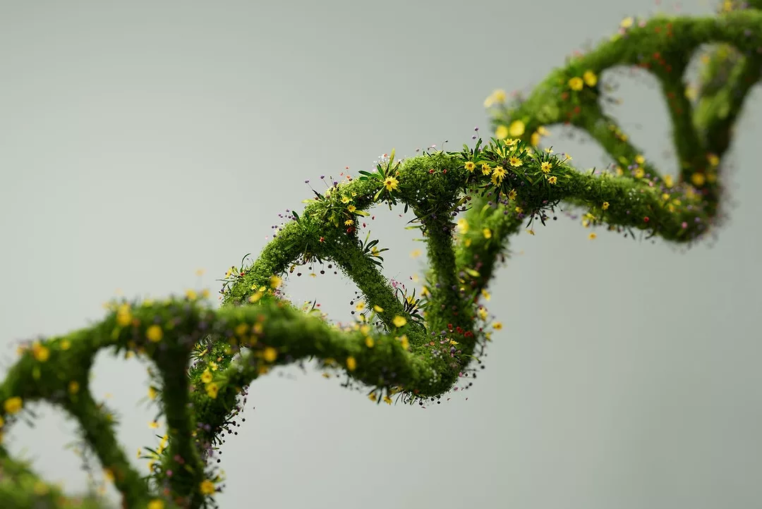 2025’te Esg Odaklı Teknolojiyi Kurgulamak