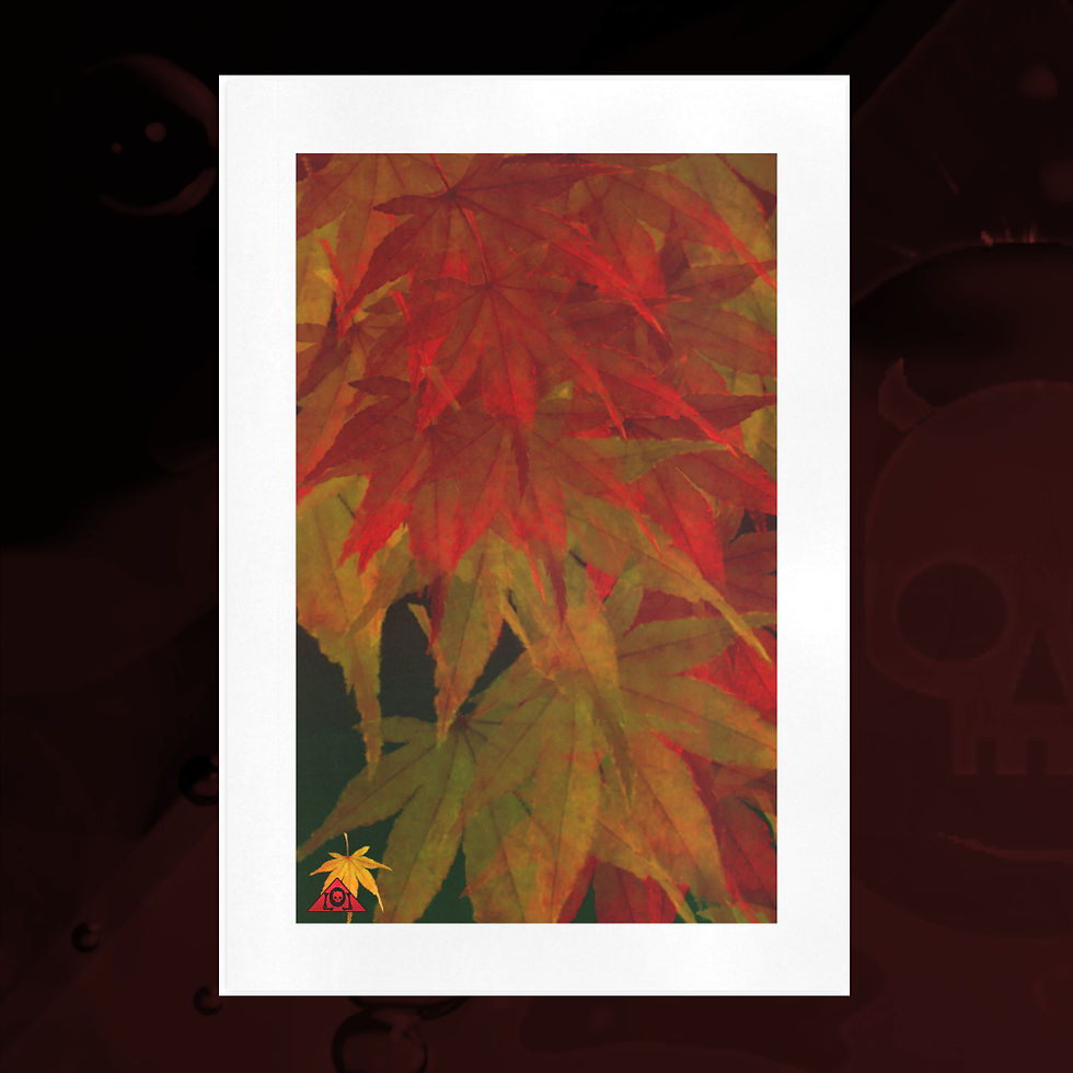 "Maple Autumn" Japanese Maple canvas art print