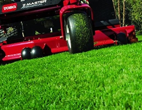 Lawn Cutting